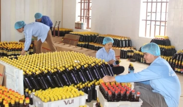 Nước mắm Ninh Cơ – Giữ trọn hương vị biển, nâng tầm ẩm thực Việt