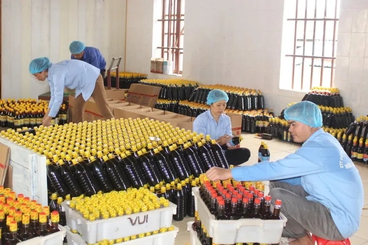 Nước mắm Ninh Cơ – Giữ trọn hương vị biển, nâng tầm ẩm thực Việt